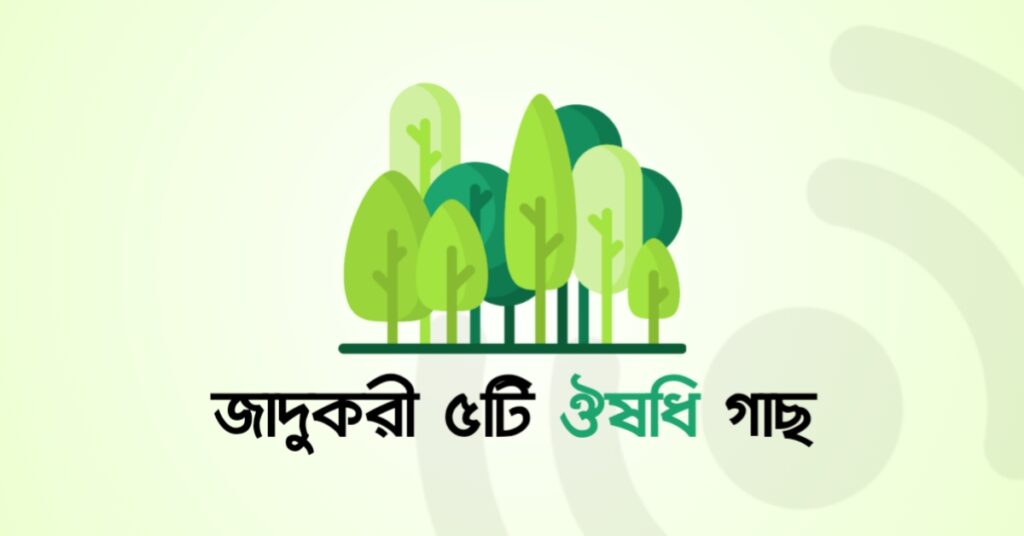 জাদুকরী ৫টি ঔষধি গাছ!